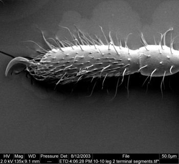 Media type: image;   Invertebrate Zoology 134645